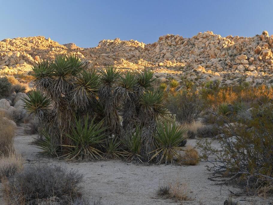 Panoramic Heaven - Luxury Designer Property W Spa Joshua Tree Dış mekan fotoğraf