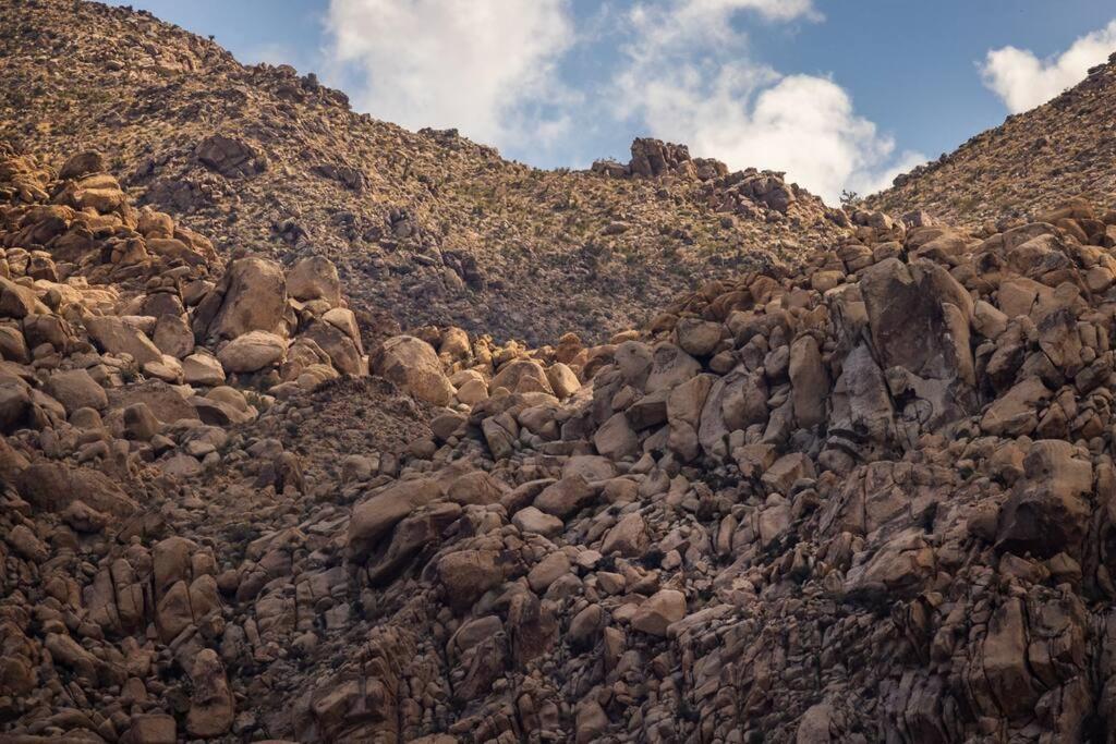 Panoramic Heaven - Luxury Designer Property W Spa Joshua Tree Dış mekan fotoğraf